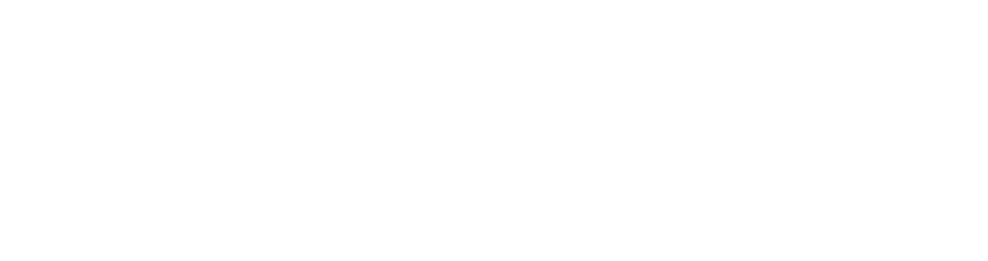 2S cosmetics